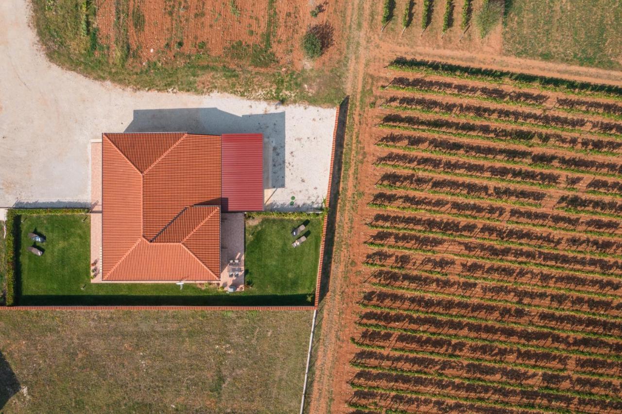 Villa Gracia Sveti Lovreč Pazenatički 外观 照片