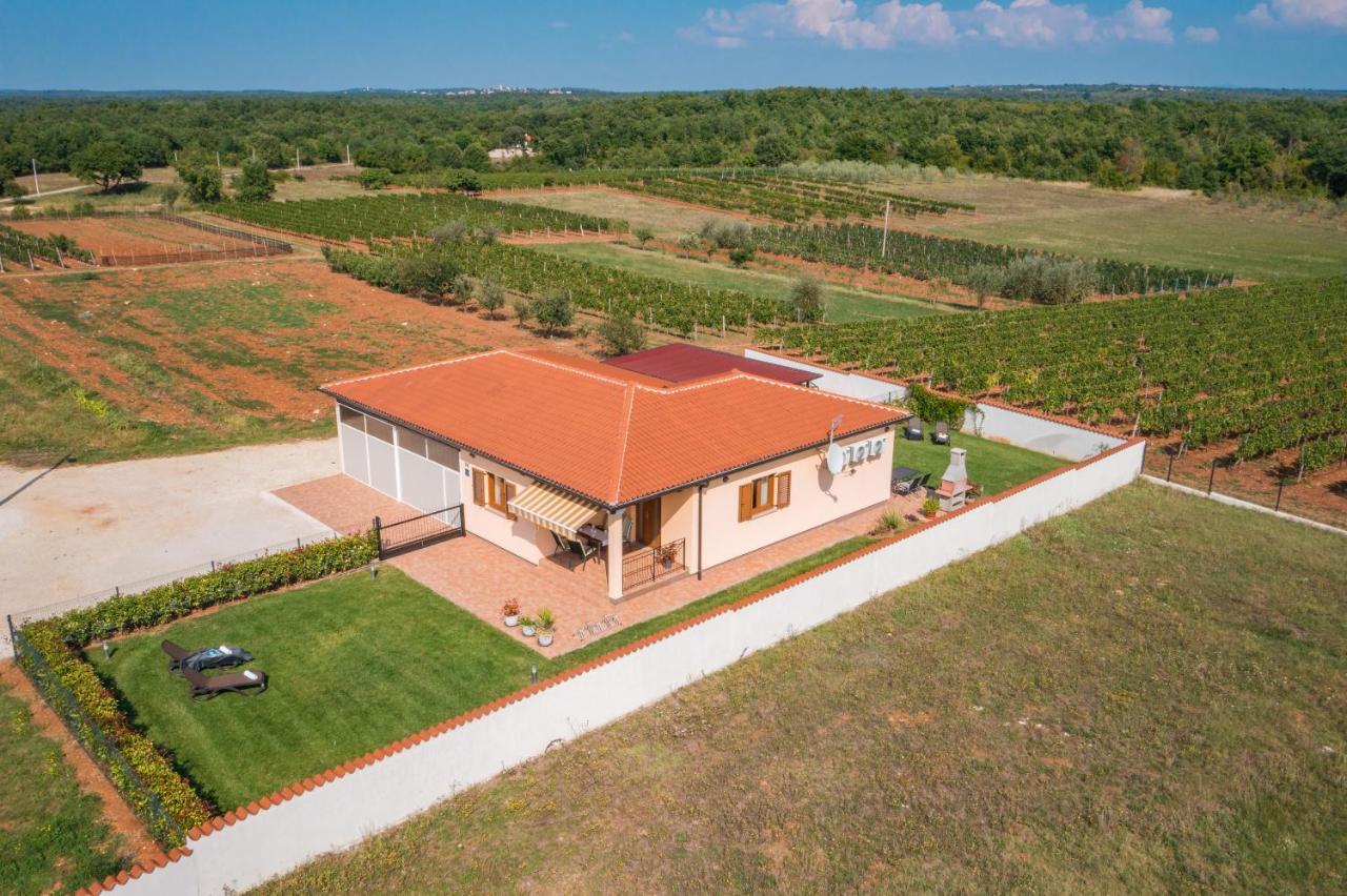 Villa Gracia Sveti Lovreč Pazenatički 外观 照片