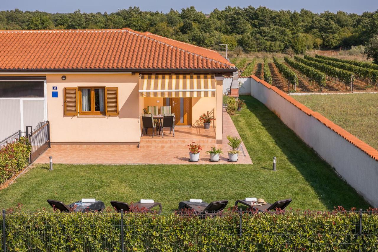Villa Gracia Sveti Lovreč Pazenatički 外观 照片